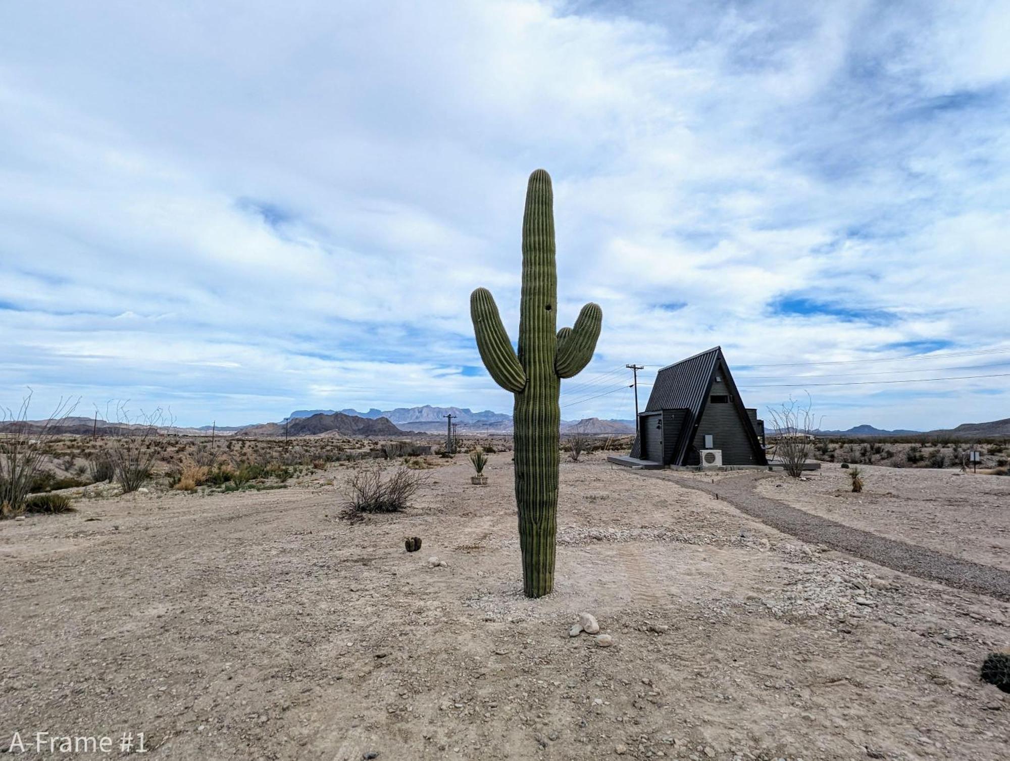 Stardust Big Bend Luxury A-Frame#4 Great Views Villa Terlingua Bagian luar foto
